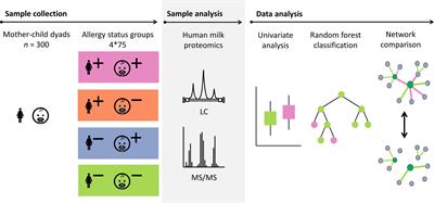 The human milk proteome and allergy of mother and child: Exploring associations with protein abundances and protein network connectivity